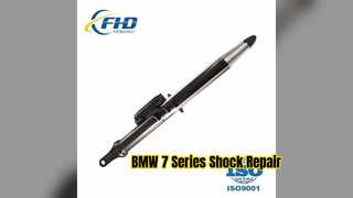 BMW 7 Series G12 Air Shock Front Left Repair