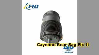 Porsche Cayenne Rear Left Air Spring Bag Replacement
