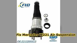 Fix Mercedes S Class W221 Rear Air Suspension Sag 2213205513