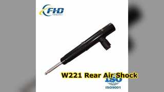 Mercedes S Class W221 Rear Air Shock Strut